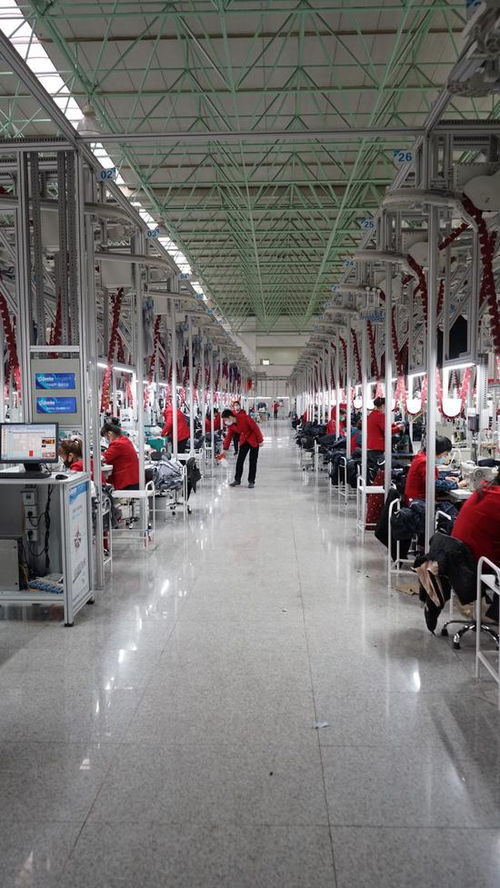 全面复产 | 济宁企业复工首日即完成首批海外鞋帽订单